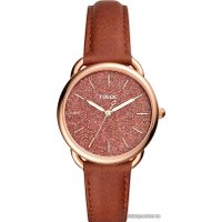 Наручные часы Fossil Tailor ES4420