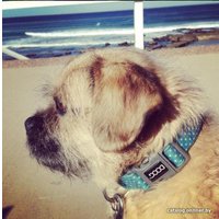 Ошейник Doog Snoopy COLBWS-XS (голубой)