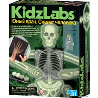 Набор для опытов 4M Юный врач. Скелет человека 00-03375