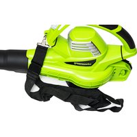 Садовая воздуходувка Greenworks BL3000 2406507