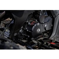 Квадроцикл Motoland Rally 250 (черный/красный)