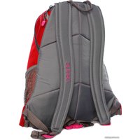 Городской рюкзак Dakine Girls Wonder 15L (carmen)