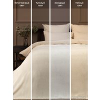 Плед Tex Republic Absolute Однотонный Фланель 1.5 24854 (молочный)