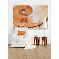 Фотообои Komar Nautilus 1-601 (184x127)