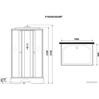 Душевая кабина Niagara Promo P100/80/26Q/MT 100x80x215