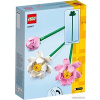 Конструктор LEGO Creator Expert 40647 Цветы лотоса