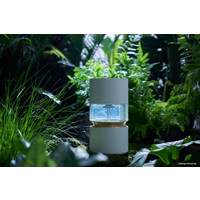 Увлажнитель воздуха SmartMi Humidifier Rainforest CJJSQ06ZM (международная версия)