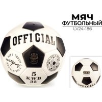Футбольный мяч Ausini LV24-186 (5 размер)
