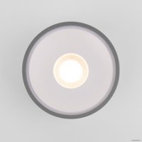 Уличный накладной светильник Elektrostandard Light LED 2135 35141/H (серый)