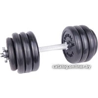 Гантель Central Sport N2 19.5 кг