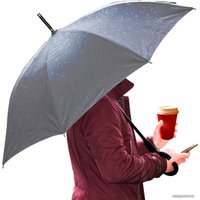 Зонт-трость Platinet PLUCHB (чёрный)