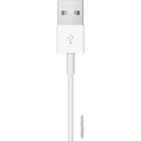 Беспроводное зарядное Apple Watch Magnetic USB Charging Cable (0.3 м)