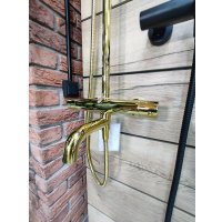 Душевая система  Whitecross Y1234GL (золото)