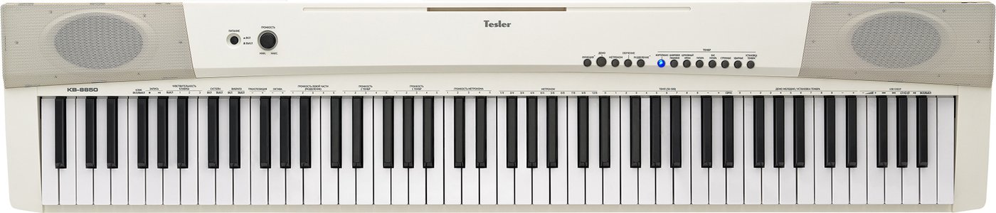 

Цифровое пианино Tesler KB-8850 (белый)