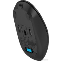 Мышь A4Tech Fstyler FG16C Air (черный)