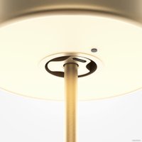 Настольная лампа Maytoni AI Collaboration MOD229TL-L3G3K2