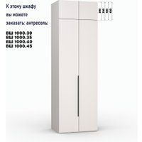 Шкаф распашной Кастанье Модерн Ш 1000.3 (кашемир)