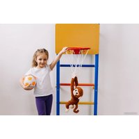 Баскетбольный щит Rokids для шведской стенки 29.5 см