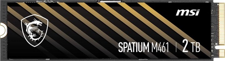 

SSD MSI Spatium M461 2TB S78-440Q550-P83