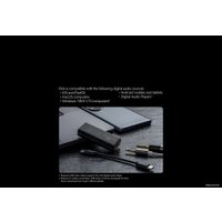 Портативный усилитель Cayin RU6