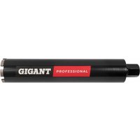 Коронка Gigant Алмазное GDSD-83450