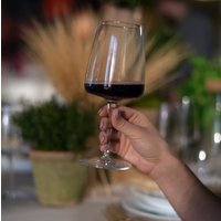 Набор бокалов для красного вина Bormioli Rocco Planeo 3.65748-4