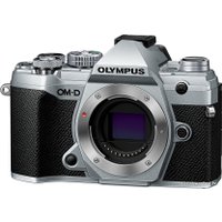 Беззеркальный фотоаппарат Olympus OM-D E-M5 Mark III Body (серебристый)