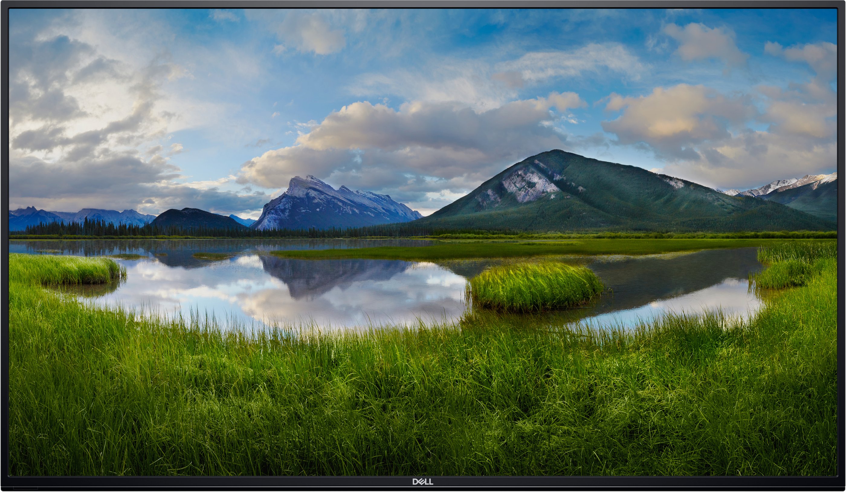 

Монитор Dell C5519QA