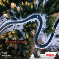 Зимние шины Petlas SnowMaster W651 205/50R17 93V