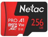 256GB 500 Extreme Pro NT02P500PRO-256G-R (с адаптером)