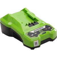 Зарядное устройство Greenworks G24C4 (24В)