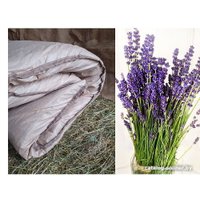 Матрас для бани Астрадом Из лугового сена с лавандой (190x77x11)