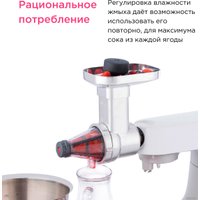 Насадка-пресс для ягод Kenwood KAX 644