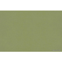 Рулонные шторы Legrand Блэкаут Сильвер 42.5x175 (зеленый)