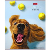 Полуобщая тетрадь Hatber Узнай себя! 48Т5В2 (48 л, клетка)