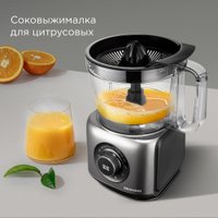 Кухонный комбайн Redmond (Редмонд) FP607