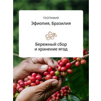 Кофе DeLonghi Signature Caffeine Blend 1 кг