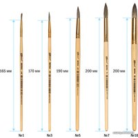 Набор кистей ArtSpace белка круглые № 1, 3, 5, 7, 9, 11 SB_3301 (6 шт)
