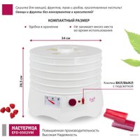 Сушилка для овощей и фруктов Мастерица EFD-0502VM (5 поддонов и 1 поддон для пастилы)