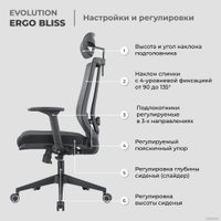 Кресло Evolution ERGO BLISS Black (черный) в Гродно