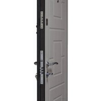 Металлическая дверь Steel Design Prestige 1