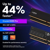Оперативная память Crucial Pro 24ГБ DDR5 6000 МГц CP24G60C48U5 в Бресте