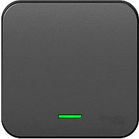 Выключатель Systeme Electric Blanca BLNVA101116