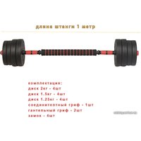 Набор гантелей с соединительным грифом  Titan Sport композитные 2x10 кг