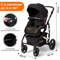 Универсальная коляска Bubago Zoom (2 в 1, черный/золотая рама)