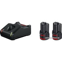 Аккумулятор с зарядным устройством Bosch Professional 1600A019RD (12В/3 Ah + 10.8-12В)