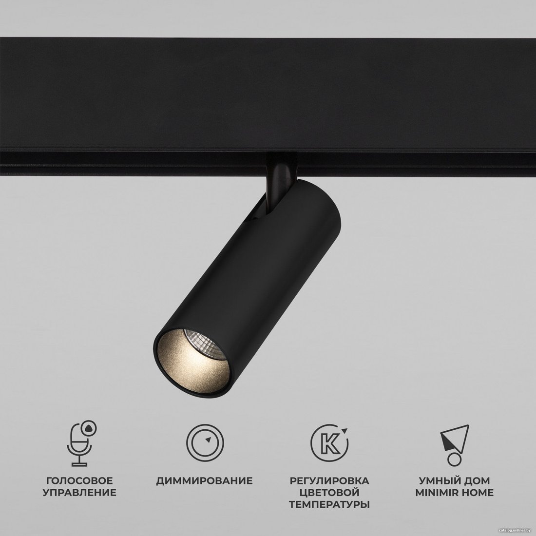 Трековый светильник Elektrostandard Dim Cubo 85070/01 (черный)