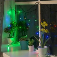 Гирлянда бахрома Luazon 3556836 (мульти)