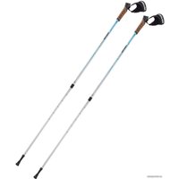 Палки для скандинавской ходьбы Berger Nimbus 77-135 (серебристый/голубой)