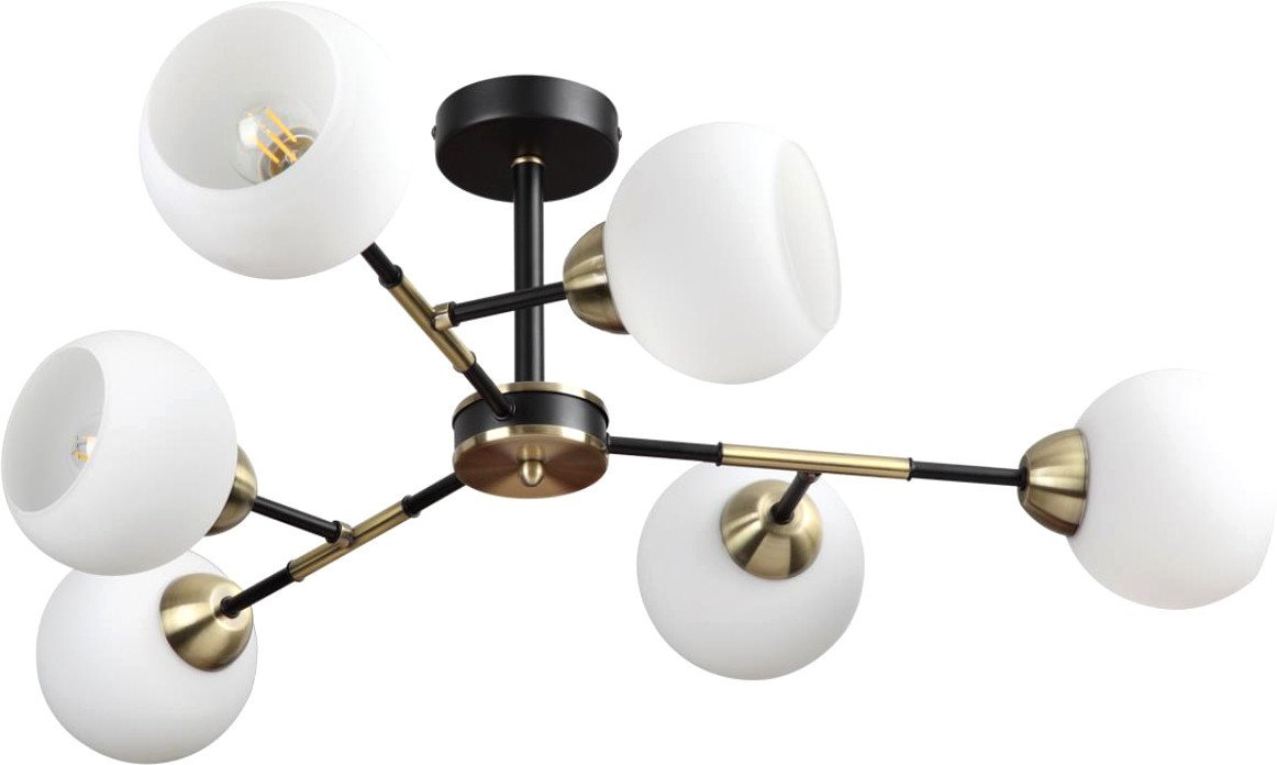 

Люстра средней высоты Lumion Rowan 4595/6C